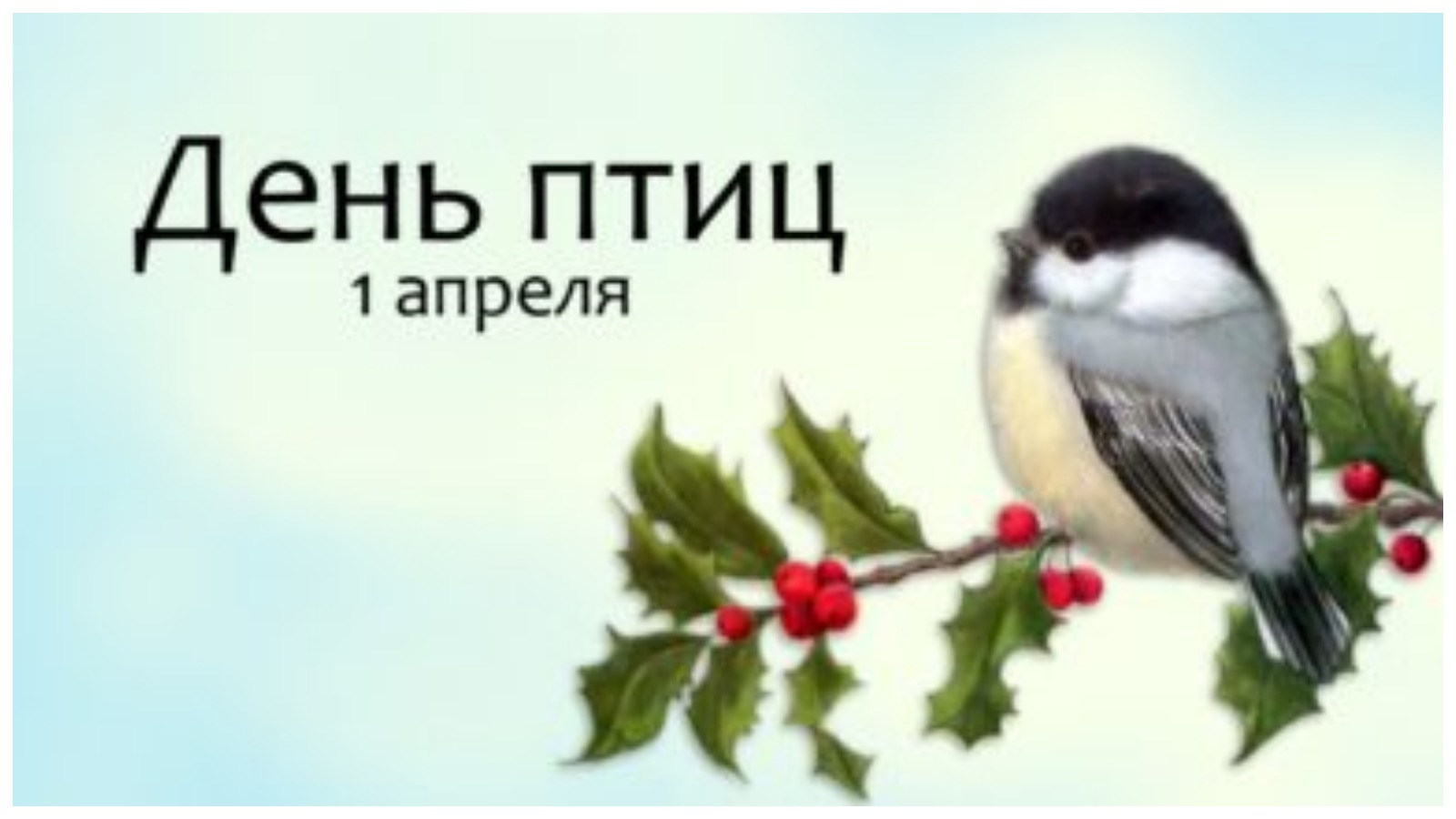 MyCollages (4).jpg
